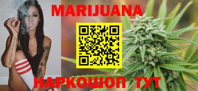 гашик Камышлов