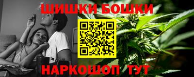 гашик Камышлов