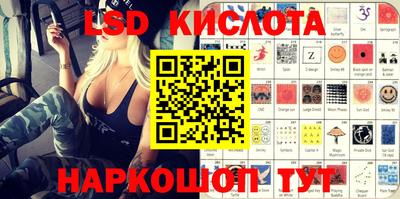 гашик Камышлов