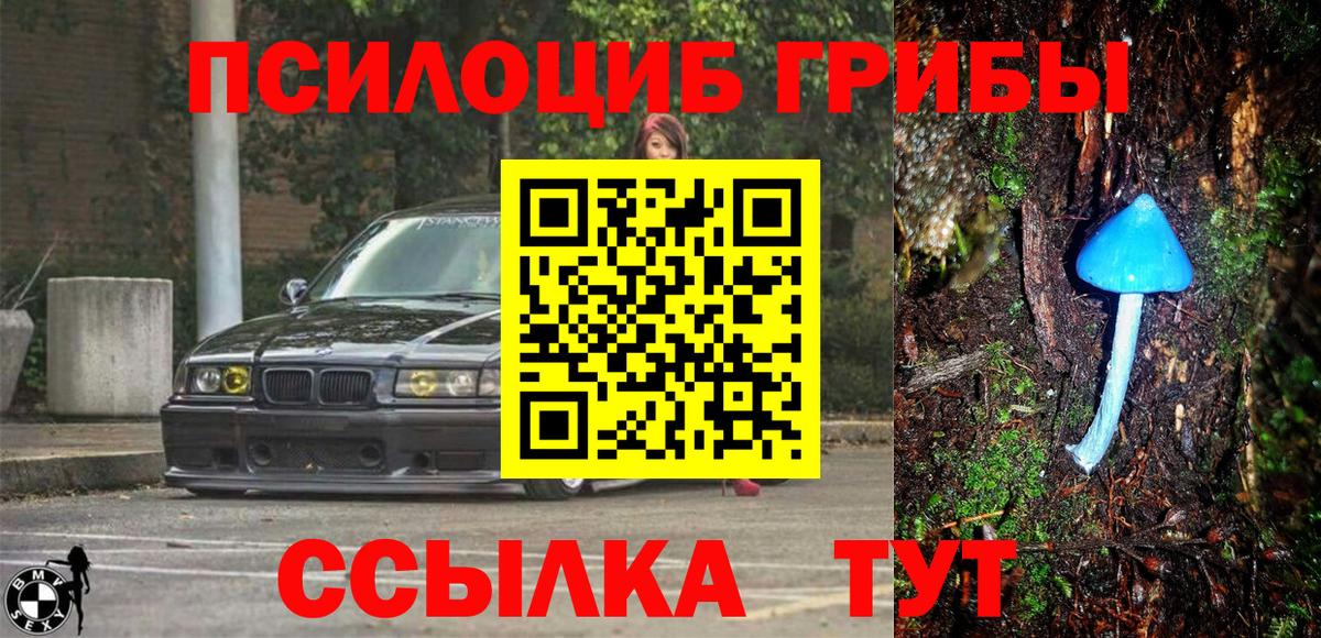 Галлюциногенные грибы Psilocybine cubensis  Псилоцибиновые грибы ЛСД  Курчатов  Вход с VPN 